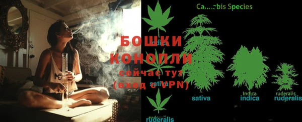 прущие крисы Пролетарск