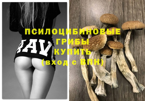 амф Балахна